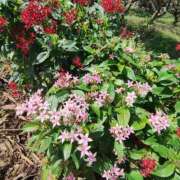 ヒメ日記 2025/02/19 09:44 投稿 こまち 豊満熟女