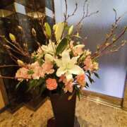 ヒメ日記 2025/02/20 21:52 投稿 こまち 豊満熟女