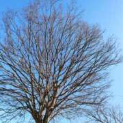 ヒメ日記 2025/02/24 11:06 投稿 こまち 豊満熟女