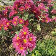 ヒメ日記 2025/02/28 13:24 投稿 こまち 豊満熟女