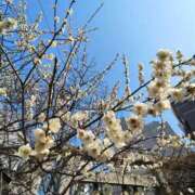 ヒメ日記 2025/03/02 11:40 投稿 こまち 豊満熟女