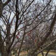 ヒメ日記 2025/03/08 13:06 投稿 こまち 豊満熟女