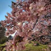 ヒメ日記 2025/03/23 11:14 投稿 こまち 豊満熟女