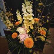 ヒメ日記 2025/03/30 00:20 投稿 こまち 豊満熟女