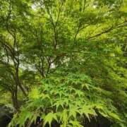 ヒメ日記 2025/04/21 14:32 投稿 こまち 豊満熟女