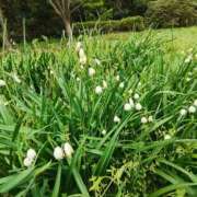 ヒメ日記 2025/04/29 11:10 投稿 こまち 豊満熟女