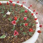 ヒメ日記 2025/05/06 09:40 投稿 こまち 豊満熟女