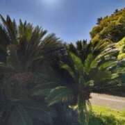 ヒメ日記 2025/06/13 13:22 投稿 こまち 豊満熟女