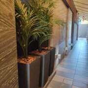 ヒメ日記 2025/06/18 17:50 投稿 こまち 豊満熟女