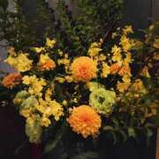 ヒメ日記 2025/06/25 06:02 投稿 こまち 豊満熟女