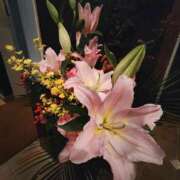 ヒメ日記 2025/06/27 06:50 投稿 こまち 豊満熟女