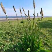 ヒメ日記 2025/06/29 09:56 投稿 こまち 豊満熟女