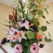 ヒメ日記 2025/07/07 08:00 投稿 こまち 豊満熟女