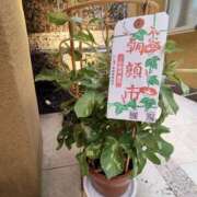 ヒメ日記 2025/07/12 10:20 投稿 こまち 豊満熟女