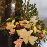 ヒメ日記 2025/08/16 16:06 投稿 こまち 豊満熟女