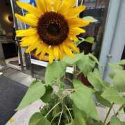 ヒメ日記 2025/09/13 13:08 投稿 こまち 豊満熟女