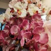 ヒメ日記 2025/09/19 05:28 投稿 こまち 豊満熟女