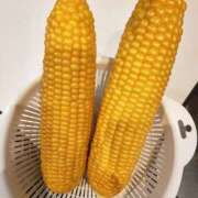 ヒメ日記 2025/09/27 13:18 投稿 こまち 豊満熟女