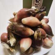 ヒメ日記 2025/09/28 23:26 投稿 こまち 豊満熟女