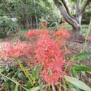 ヒメ日記 2025/09/30 12:14 投稿 こまち 豊満熟女