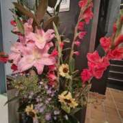 ヒメ日記 2025/10/08 17:32 投稿 こまち 豊満熟女