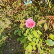 ヒメ日記 2025/10/10 15:56 投稿 こまち 豊満熟女