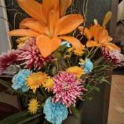 ヒメ日記 2025/11/25 05:50 投稿 こまち 豊満熟女