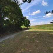 ヒメ日記 2025/11/26 12:12 投稿 こまち 豊満熟女