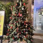 ヒメ日記 2025/12/23 11:32 投稿 こまち 豊満熟女