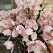 ヒメ日記 2026/01/09 14:38 投稿 こまち 豊満熟女