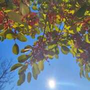 ヒメ日記 2026/01/14 13:24 投稿 こまち 豊満熟女