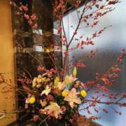 ヒメ日記 2026/01/24 06:34 投稿 こまち 豊満熟女