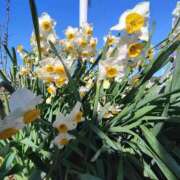 ヒメ日記 2026/01/31 14:14 投稿 こまち 豊満熟女