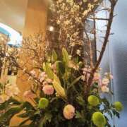 ヒメ日記 2026/02/01 23:10 投稿 こまち 豊満熟女