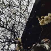 ヒメ日記 2026/02/11 11:48 投稿 こまち 豊満熟女