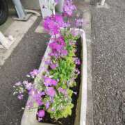 ヒメ日記 2026/02/16 09:50 投稿 こまち 豊満熟女