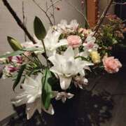 ヒメ日記 2026/02/23 23:10 投稿 こまち 豊満熟女