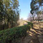 ヒメ日記 2026/02/28 12:02 投稿 こまち 豊満熟女