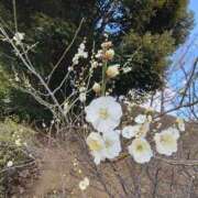 こまち ありがとうございます 豊満熟女