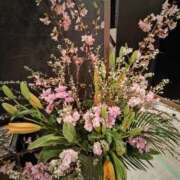 ヒメ日記 2026/03/09 19:04 投稿 こまち 豊満熟女