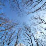 ヒメ日記 2026/03/13 12:24 投稿 こまち 豊満熟女