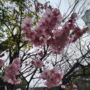 ヒメ日記 2026/03/20 13:22 投稿 こまち 豊満熟女