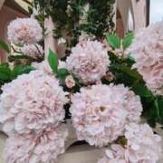 ヒメ日記 2026/03/31 12:16 投稿 こまち 豊満熟女