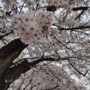 ヒメ日記 2026/04/05 10:58 投稿 こまち 豊満熟女