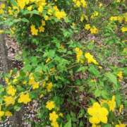 ヒメ日記 2026/04/20 12:40 投稿 こまち 豊満熟女