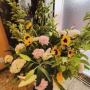ヒメ日記 2026/06/23 06:50 投稿 こまち 豊満熟女