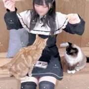 ヒメ日記 2026/03/29 00:14 投稿 【小桜 ふたば】 梅田ムチSpa女学院