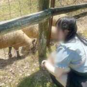 ヒメ日記 2026/07/29 19:04 投稿 【小桜 ふたば】 梅田ムチSpa女学院