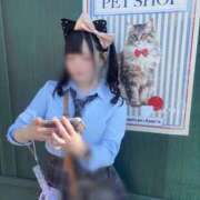 ヒメ日記 2026/10/10 14:44 投稿 【小桜 ふたば】 梅田ムチSpa女学院