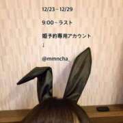 ヒメ日記 2023/12/12 20:13 投稿 ももな バニー東京